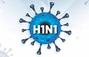 Swine Flu